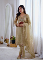 Beautiful Salsa Silk Designer Embroidery & Sequence Work Dress