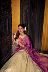 Traditional Festive Special Dupion Silk Zari Weaving Work Lehenga Choli