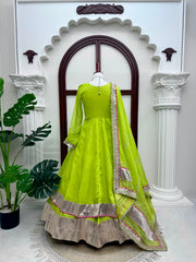 Party-wear Tabby Organza Silk Real Mirror With Hand Work Gown