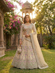 Beautiful Peacock Design Butterfly Net Coding & Sequins Work Lehenga Choli