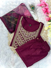 Designers Organza print Work Salwar Suit