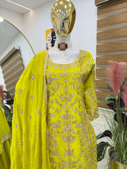 Beautiful Chinon Silk Embroidery Coding Sequence Work Sharara