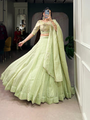 Beautiful Allen Crush Plain Lehenga Choli