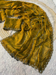 Trending Fendy Soft Two-Tone Zarkhan Work Panel In Whole Saree