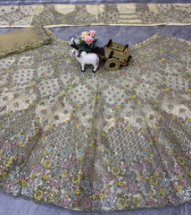 Beautiful Trending Butterfly Net Embroidery Sequence Work Lehenga Choli