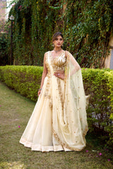 Classic Chanda Silk Plain With Sequins & Thread Embroidery Work Belt Lehenga Choli