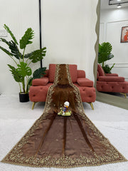 Beautiful Brown Burberry Silk Thread With Sequence Work Saree