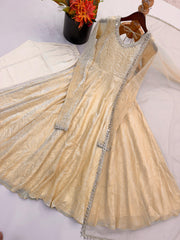 Beautiful Doremon Crush Silk With Real Mirror Work Gown