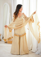 Party-wear Doremon Crush With Real Mirror Work Lace Border Suit