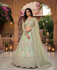 Beautiful Peacock Design Butterfly Net Coding & Sequins Work Lehenga Choli