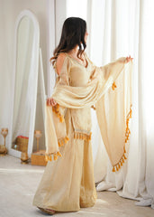 Party-wear Doremon Crush With Real Mirror Work Lace Border Suit