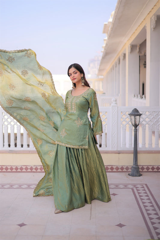 Beautiful Fendy Crush With Zari Sequence Embroidery Work Sharara