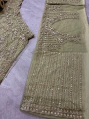 Trending Viral Premium Quality Soft Net Lehenga Choli