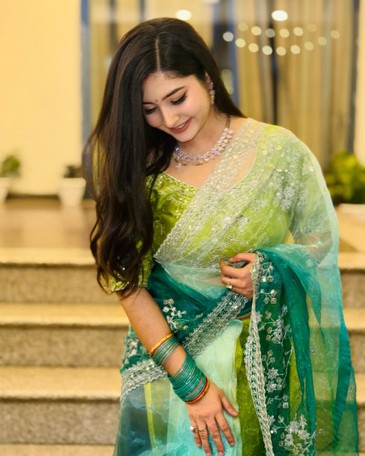 Party-wear Soft Organza Silk Embroidery Panel Work Saree