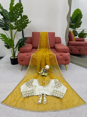 Partywar Twill Net Thread & Sequence With Fancy Lace Saree