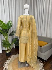 Beautiful Jimmy Choo Silk Thread With Sequence Work Suit