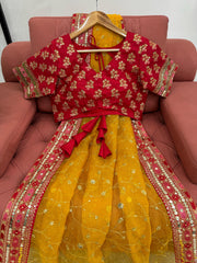Beautiful Designer Yellow Organza Silk Saree