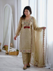 Beautiful Salsa Silk Designer Embroidery & Sequence Work Dress