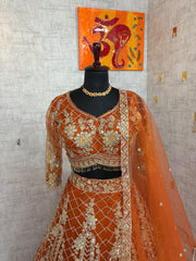 Party-wear Quality Soft Net Coding Sequence Work Lehenga Choli