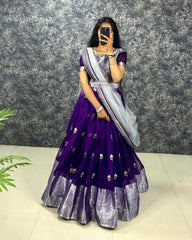 Traditional Organza With Zari Embroidery Work Half Saree