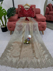 Trending Designer Jimmy Choo Thread & Sequence Work Saree