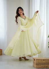 Beautiful Georgette Handwork Neck Sleeve Gown