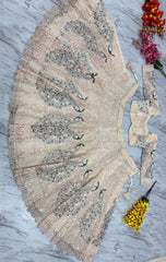 Reception Special Bridal Premium Soft Butterfly Net Multi Thread Embroidery Work Lehenga Choli