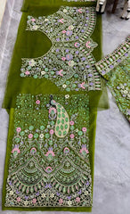 Elegant Soft Butterfly Net Sequence Work Lehenga Choli