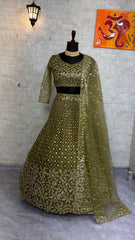 Party-wear Flared Butterfly Net Embroidery & Sequence Work Lehenga Choli