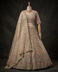 Beautiful Trending Butterfly Net Embroidery Sequence Work Lehenga Choli
