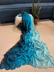 Beautiful Pure Soft Chinon Peding Handwork Border Saree
