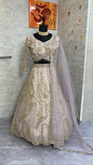 Party-wear Quality Soft Net Coding Sequence Work Lehenga Choli