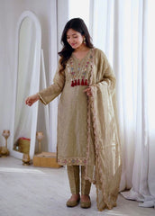Beautiful Salsa Silk Designer Embroidery & Sequence Work Dress