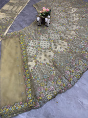Beautiful Party-wear Butterfly Net Embroidery Sequence Work Lehenga Choli