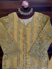 Party-wear Jimmy Choo Thread With Sequence Work Suit