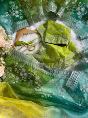 Party-wear Soft Organza Silk Embroidery Panel Work Saree
