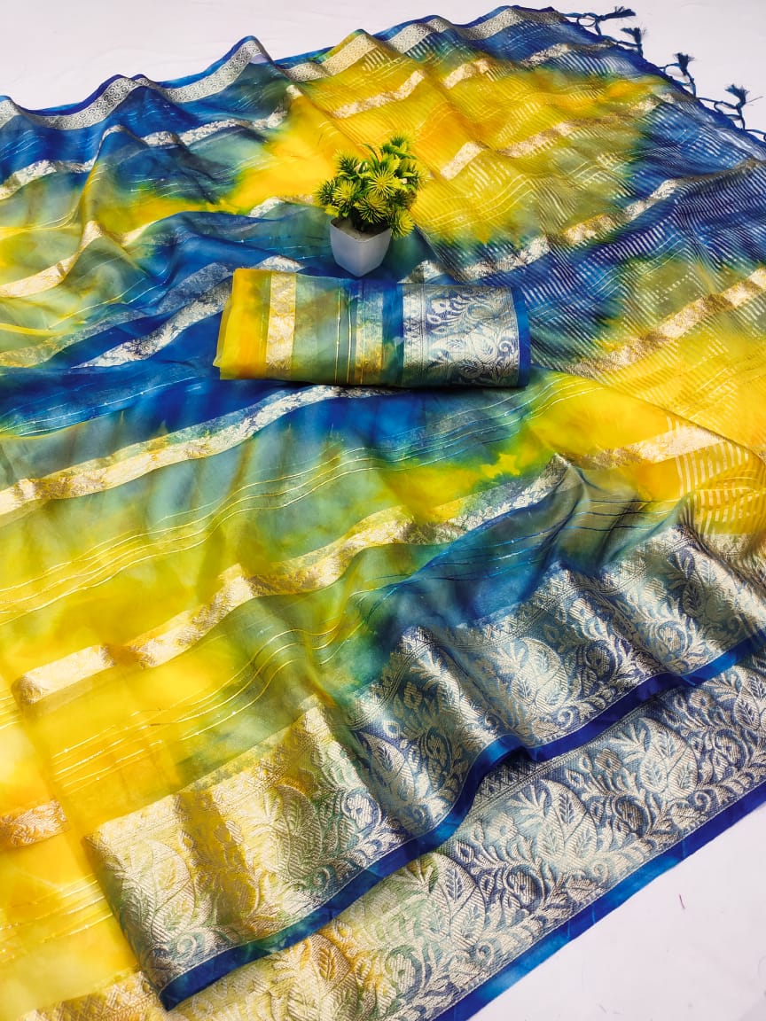 Beautiful Pure Organza Silk Saree