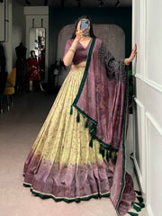 Beautiful Vichitra Silk Printed Lehenga Choli