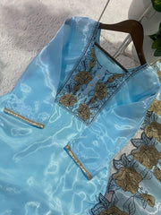 Beautiful Designer Jimmy Choo Embroidery With Cut Work Suit