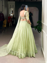 Beautiful Allen Crush Plain Lehenga Choli