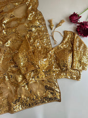 Bollywood Style Butterfly Net Sequence Embroidery Work Saree
