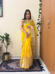 Elegance & Tradition Organza Silk Embroidery All Over Saree