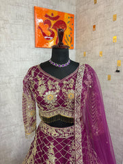 Party-wear Quality Soft Net Coding Sequence Work Lehenga Choli