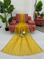 Partywar Twill Net Thread & Sequence With Fancy Lace Saree