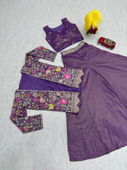 Stylish Indo-Western Pure Tissue Simmer Co-ord Set