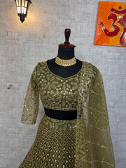 Party-wear Flared Butterfly Net Embroidery & Sequence Work Lehenga Choli