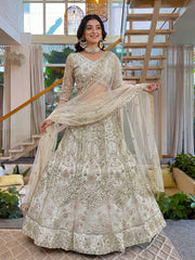 Beautiful Party-wear Butterfly Net Sequence Coding Embroidery Work Lehenga Choli