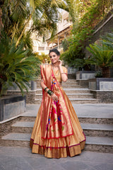 Traditional Jacquard Silk Paithani Zari Weaving Work Lehenga Choli