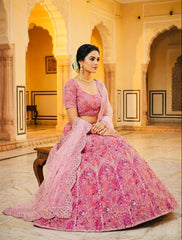 Beautiful Party-wear Butterfly Net Coding Embroidery Sequins Work Lehenga Choli