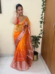 Elegance & Tradition Organza Silk Embroidery All Over Saree